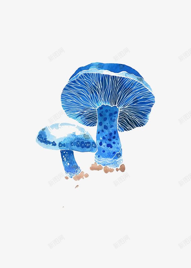 蓝色蘑菇png免抠素材_新图网 https://ixintu.com 彩绘 毒蘑菇 蓝色蘑菇 蘑菇