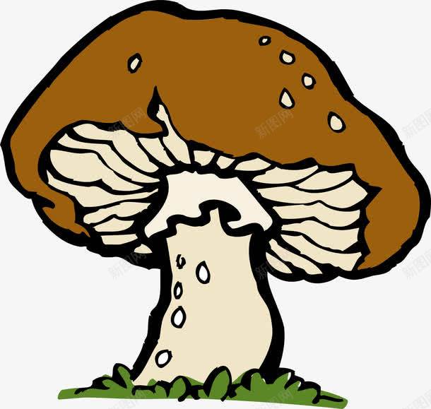 野生的蘑菇png免抠素材_新图网 https://ixintu.com 棕色 苔藓 菌类