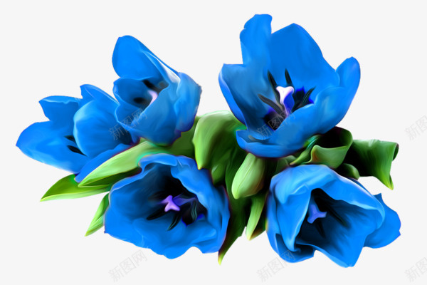蓝色鲜花png免抠素材_新图网 https://ixintu.com 卡通 水彩 漂浮 蓝色 装饰 鲜花