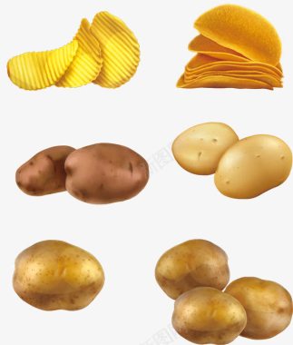 土豆与薯片图标矢量图图标