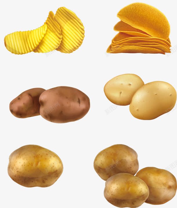 土豆与薯片图标矢量图ai_新图网 https://ixintu.com 土豆 炸 烤 白色 薯片 马铃薯 矢量图