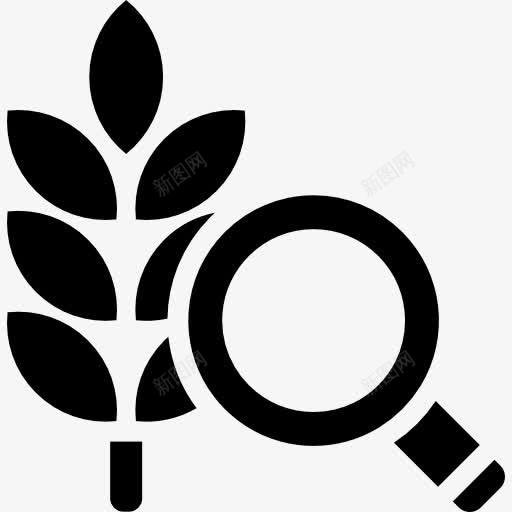 科学分析图标png_新图网 https://ixintu.com 分析 放大 放大镜 植物 植物叶