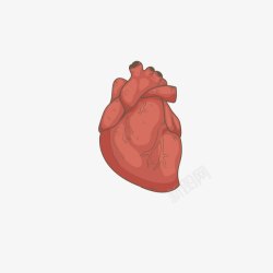 复古手绘心脏血管素材