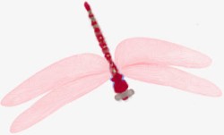 手绘粉色可爱蜻蜓素材