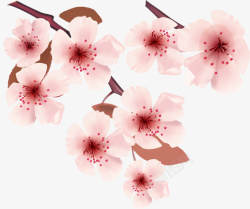 春季美丽粉色桃花素材