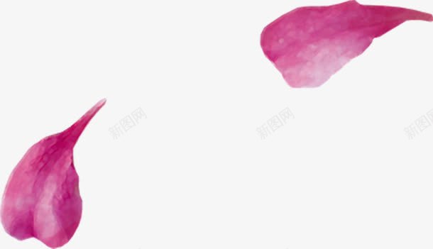 粉色鲜花花瓣抽象png免抠素材_新图网 https://ixintu.com 抽象 粉色 花瓣 设计 鲜花
