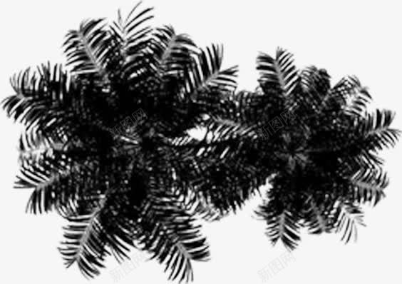 创意合成黑色复古植物树木png免抠素材_新图网 https://ixintu.com 创意 合成 复古 树木 植物 黑色