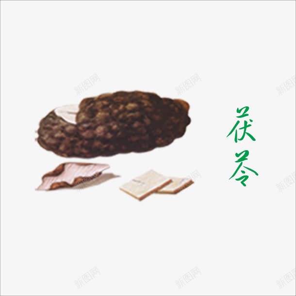 茯苓png免抠素材_新图网 https://ixintu.com 中药 本草纲目 草药 药材