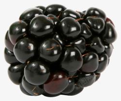 透了熟透了的黑莓高清图片
