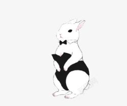 手绘的兔女郎兔女郎高清图片