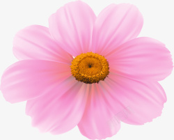 唯美粉色花朵素材