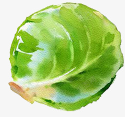 手绘水彩切好的蔬菜白菜素材