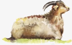 趴着的小羊趴着的小羊高清图片