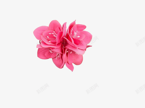 粉色塑料花朵png免抠素材_新图网 https://ixintu.com 塑料花 粉色塑料花朵 粉色花 花儿 花朵 花模型
