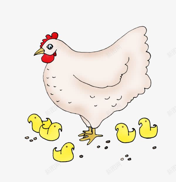 卡通白色母鸡黄色小鸡png免抠素材_新图网 https://ixintu.com 卡通手绘 家禽鸡 白色母鸡 黄色小鸡