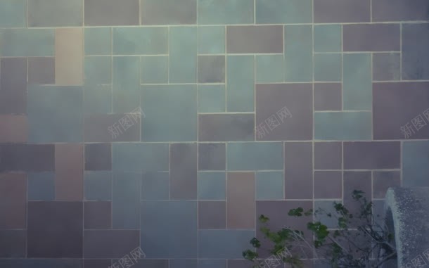 室外墙壁瓷砖草本植物jpg设计背景_新图网 https://ixintu.com 墙壁 室外 瓷砖 草本植物