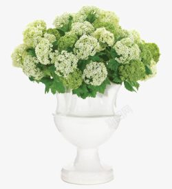 绿色花卉装饰白色花瓶素材