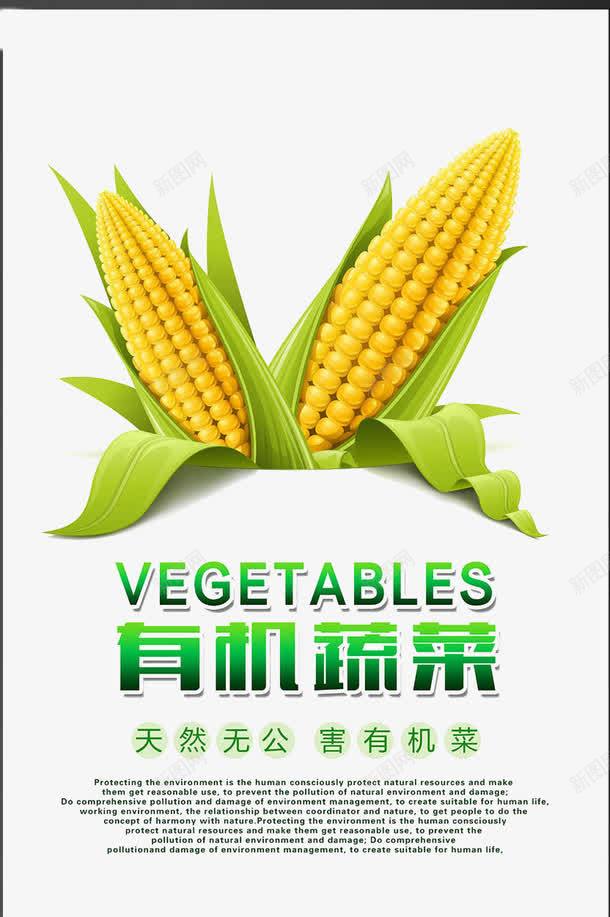 玉米健康绿色海报png免抠素材_新图网 https://ixintu.com 创意 绿色 膳食 蔬菜