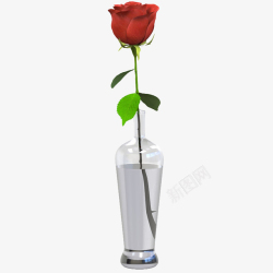 带刺花朵花瓶带刺花朵单支玫瑰高清图片