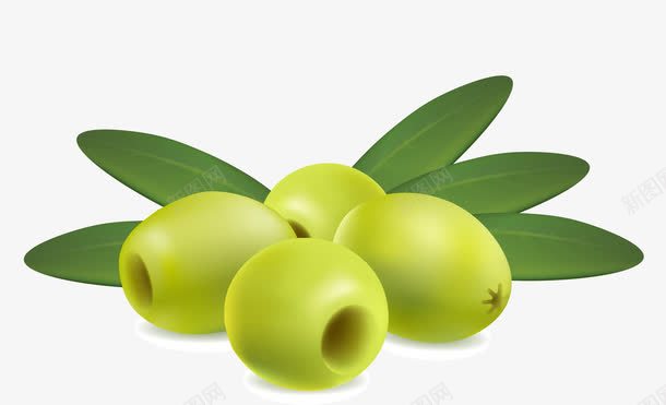 青橄榄果子png免抠素材_新图网 https://ixintu.com 橄榄 橄榄油 矢量素材 纯植物 青橄榄