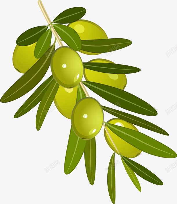 绿色卡通橄榄png免抠素材_新图网 https://ixintu.com 卡通橄榄 枝条 植物 橄榄枝 橄榄油 绿色橄榄