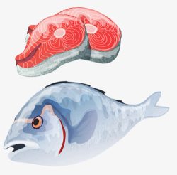 鱼肉块素材