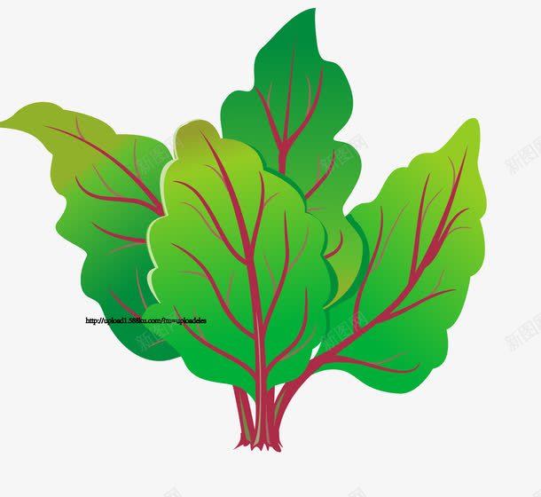 萝卜绿色蔬菜png免抠素材_新图网 https://ixintu.com 叶子 图案 绿色蔬菜 菜叶 蔬菜叶