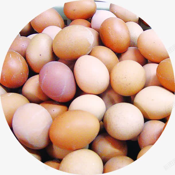 新鲜食物鸡蛋营养png免抠素材_新图网 https://ixintu.com 新鲜 营养 食物 鸡蛋