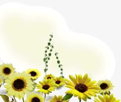 黄色可爱太阳花向日葵素材