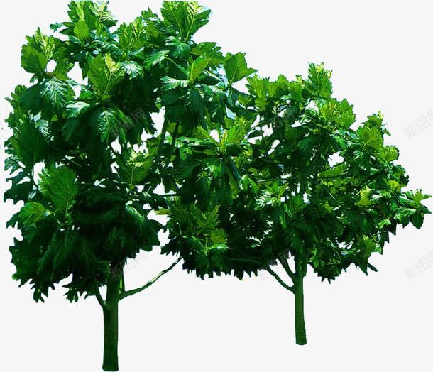 创意绿色植物树木png免抠素材_新图网 https://ixintu.com 创意 树木 素材 绿色植物