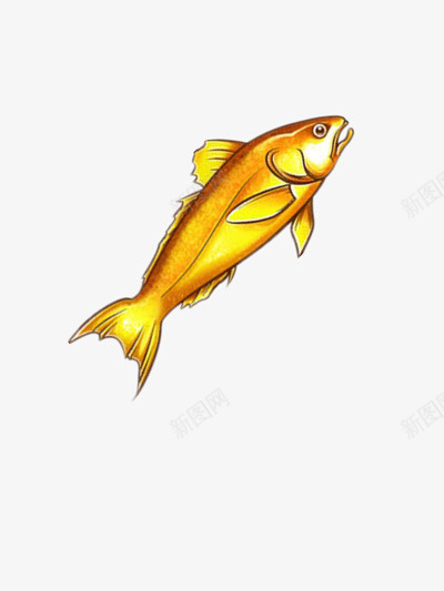 卡通的金色鱼png免抠素材_新图网 https://ixintu.com 动物 卡通 图片 金色 长条