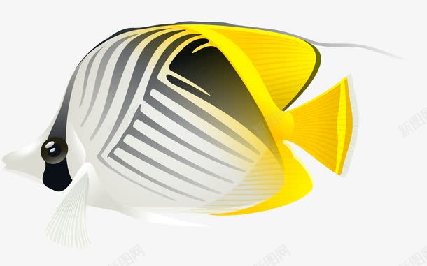 卡通水族馆鱼类png免抠素材_新图网 https://ixintu.com 卡通 小丑鱼 水生物 观赏鱼 鱼类