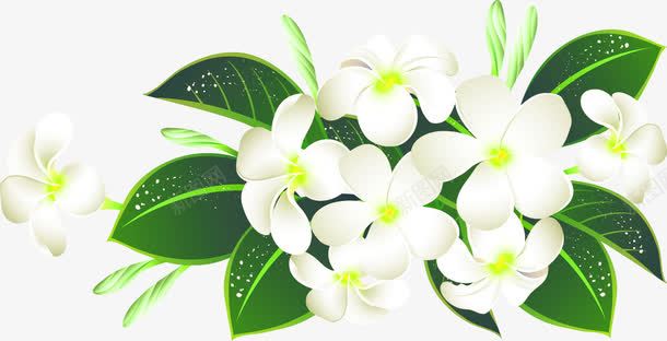 白色清新手绘花朵装饰图案png免抠素材_新图网 https://ixintu.com 免抠PNG 手绘 树叶 清新 白色 绿叶 花朵 装饰图案