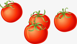西红柿矢量图素材