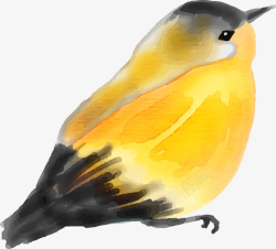 水彩动物黄色小鸟素材