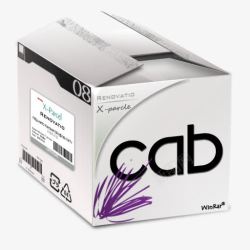 cabcab白色箱子图标高清图片