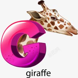 giraffe长颈鹿英语单词高清图片