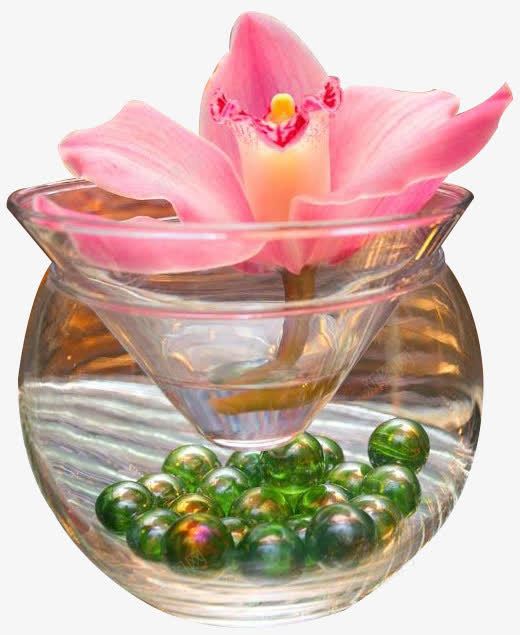 透明玻璃杯中的弹珠与红色花png免抠素材_新图网 https://ixintu.com 光影 彩色 玻璃弹珠 玻璃杯 红色花朵 花草 透明