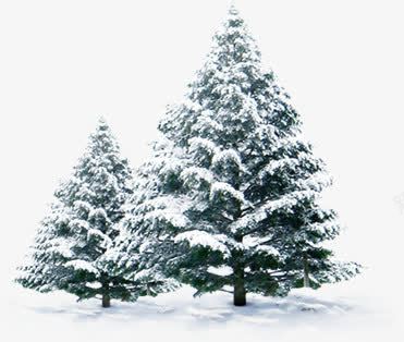 冬季景观雪树png免抠素材_新图网 https://ixintu.com 冬季 图片 景观