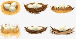 矢量鸟巢中的鸟蛋鸭蛋6款鸟巢中的鸟蛋鸭蛋高清图片