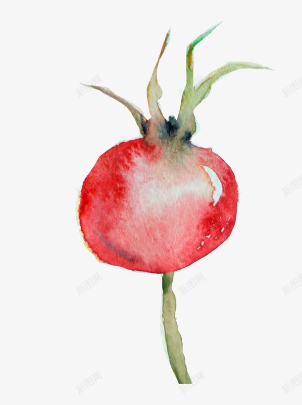 红色花蕾png免抠素材_新图网 https://ixintu.com 卡通 手绘 植物 水彩 红色 花梗 花苞 花蕾