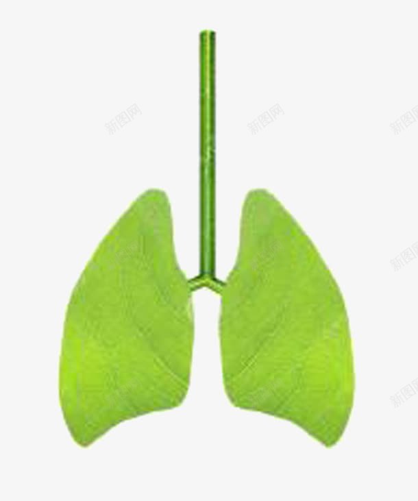 手绘肺部与绿植png免抠素材_新图网 https://ixintu.com 手绘 绿叶 肺形 肺部