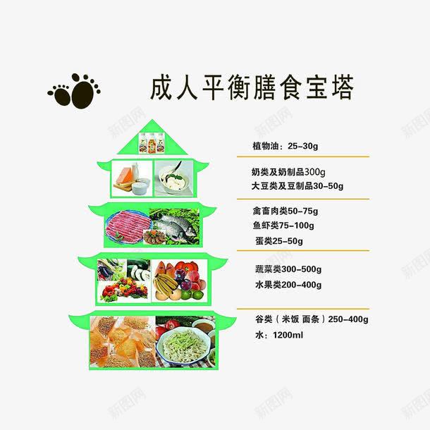 成人平衡膳食宝塔png免抠素材_新图网 https://ixintu.com 健康饮食 合理膳食 成人平衡膳食宝塔 膳食金字塔