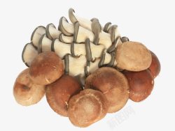 鲜菌类香菇摄影高清图片