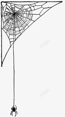 手绘蜘蛛网图案蜘蛛网和蜘蛛素材