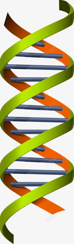 人体基因人体DNS矢量图高清图片