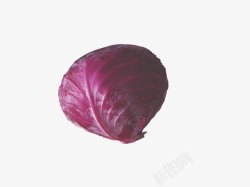 紫菜包菜素材
