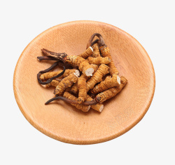 装在盘里的虫草补品高清图片