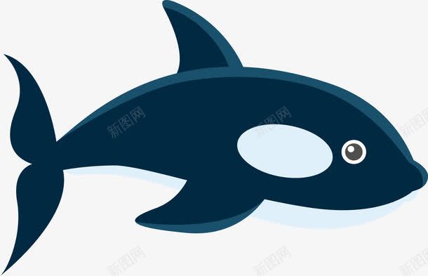 卡通鲸鱼png免抠素材_新图网 https://ixintu.com 创意 动物 动物设计 卡通鲸鱼 精美 鲸鱼