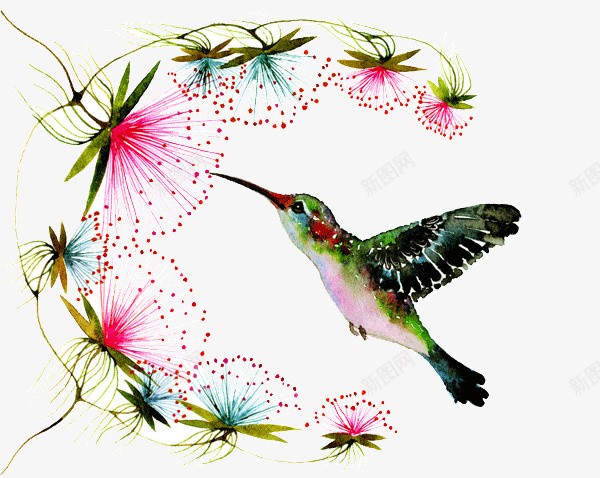 创意鸟和花插画png免抠素材_新图网 https://ixintu.com 个性画 创意 彩绘 彩色 手绘 插画 花卉 设计 鸟